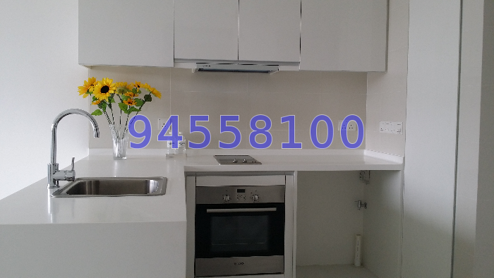 D'Leedon (D10), Condominium #38557142